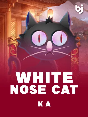 White Nose Cat